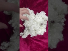 الیاف اصلی پلی استر